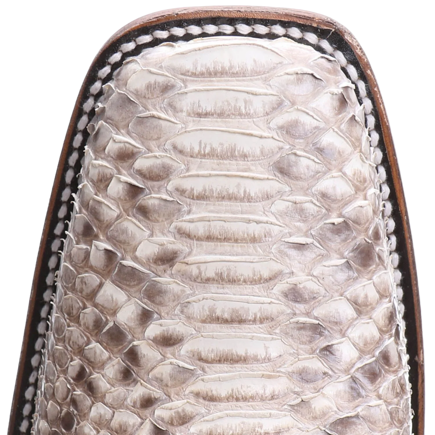 Circle G Men’s Python Brown Square Toe Boots L5740