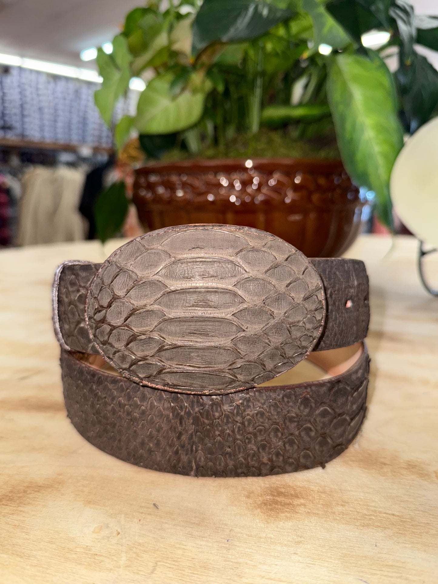 Los Altos Boots Dark Brown Phyton Belt