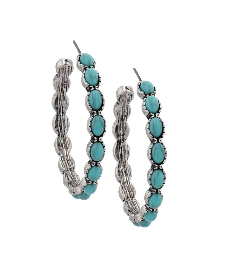 Montana Azure Horizons Earrings