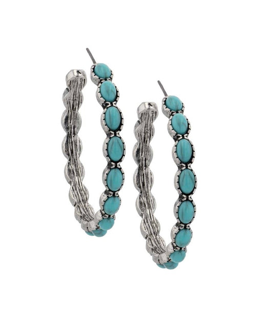 Montana Azure Horizons Earrings