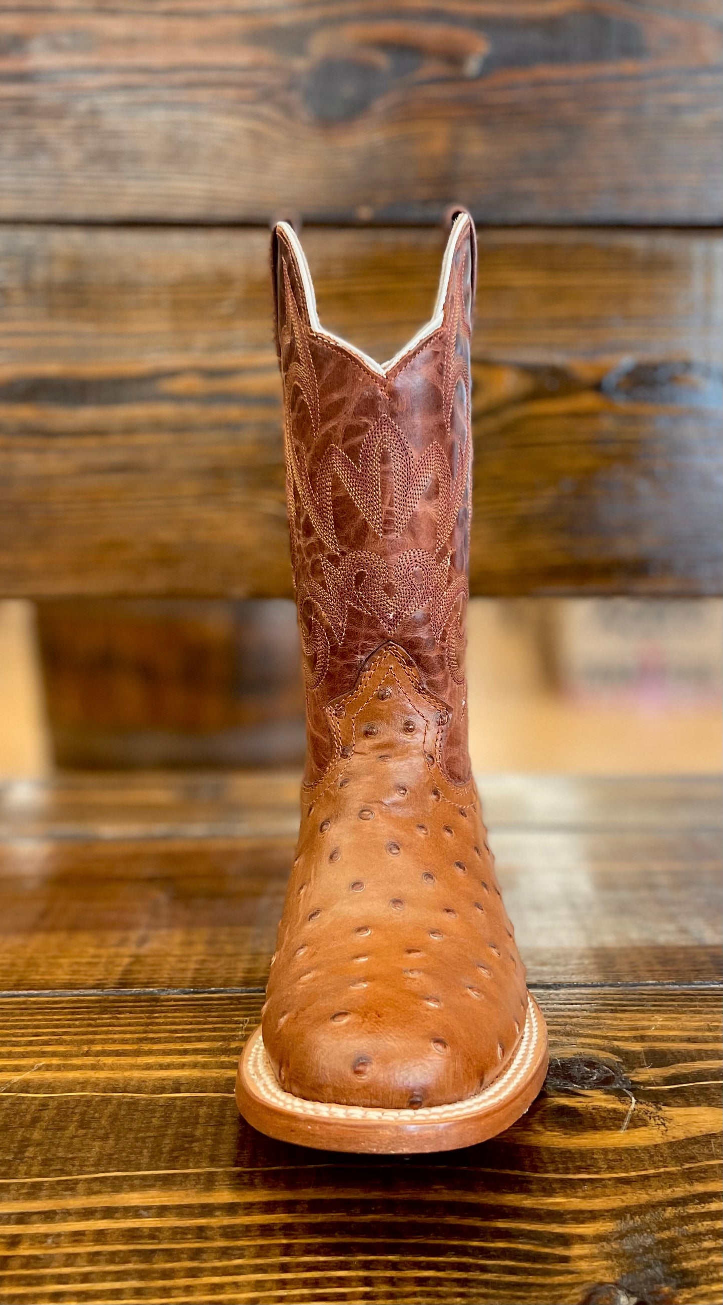 Moreria Men’s Boots Avestruz Africana Shedron/Tornado Cognac