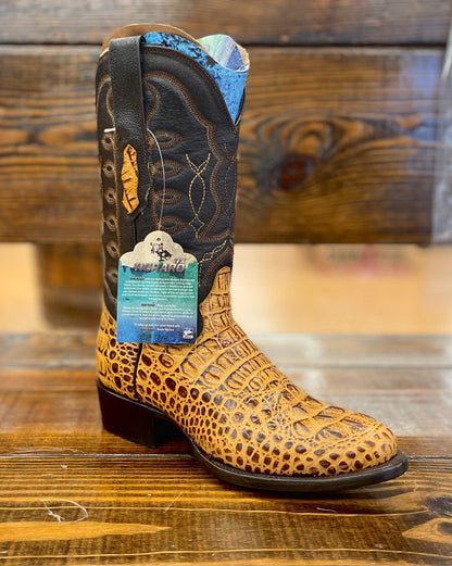 Tanner Mark Reparo Tx Caiman Hornback