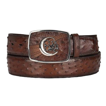 Cuadra Men's Moroni Chestnut Ostrich Exotic Strip Belt BC307