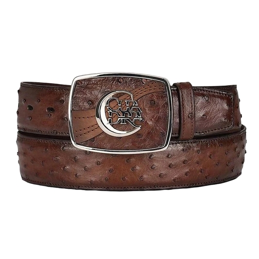 Cuadra Men's Moroni Chestnut Ostrich Exotic Strip Belt BC307
