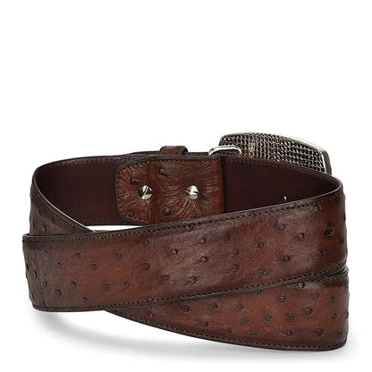Cuadra Men's Moroni Chestnut Ostrich Exotic Strip Belt BC307