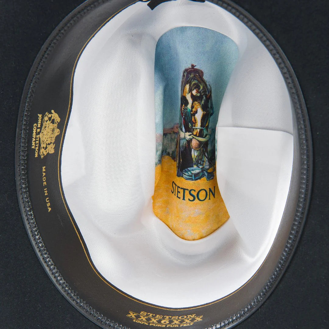 Stetson Skyline 6X Black Felt Hat