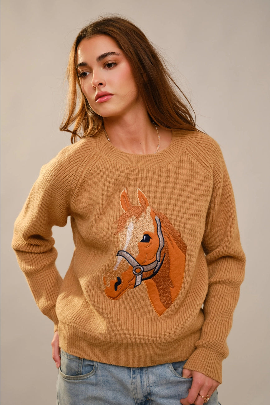 Blue B Horse Embroidery Knit Pullover Brown Sweater 36943W