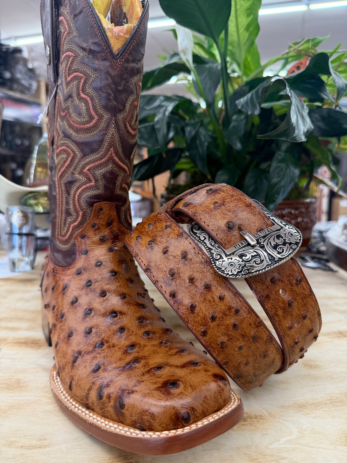 Tanner Mark Cognac Print Ostrich Men’s Belt TMB200961