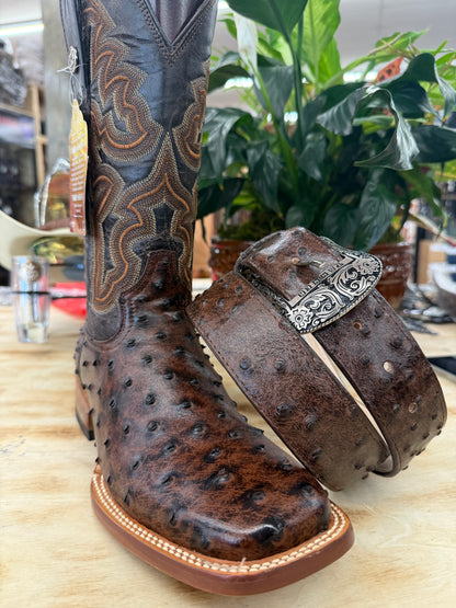 Tanner Mark Brown Print Ostrich Rustic Men’s Belt TMB200960