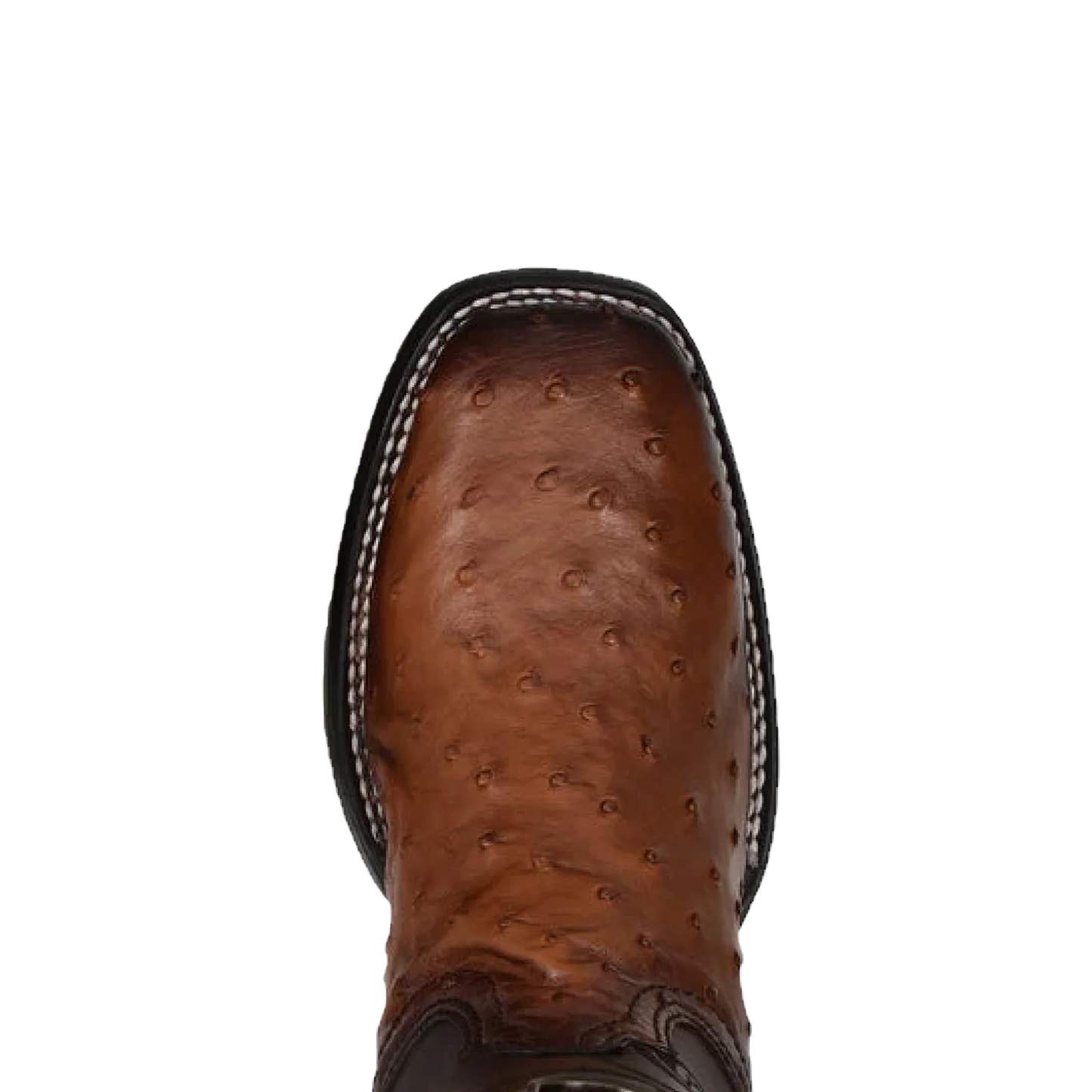 Cuadra Men's Brown Genuine Ostrich Leather Square Toe Boot CU457