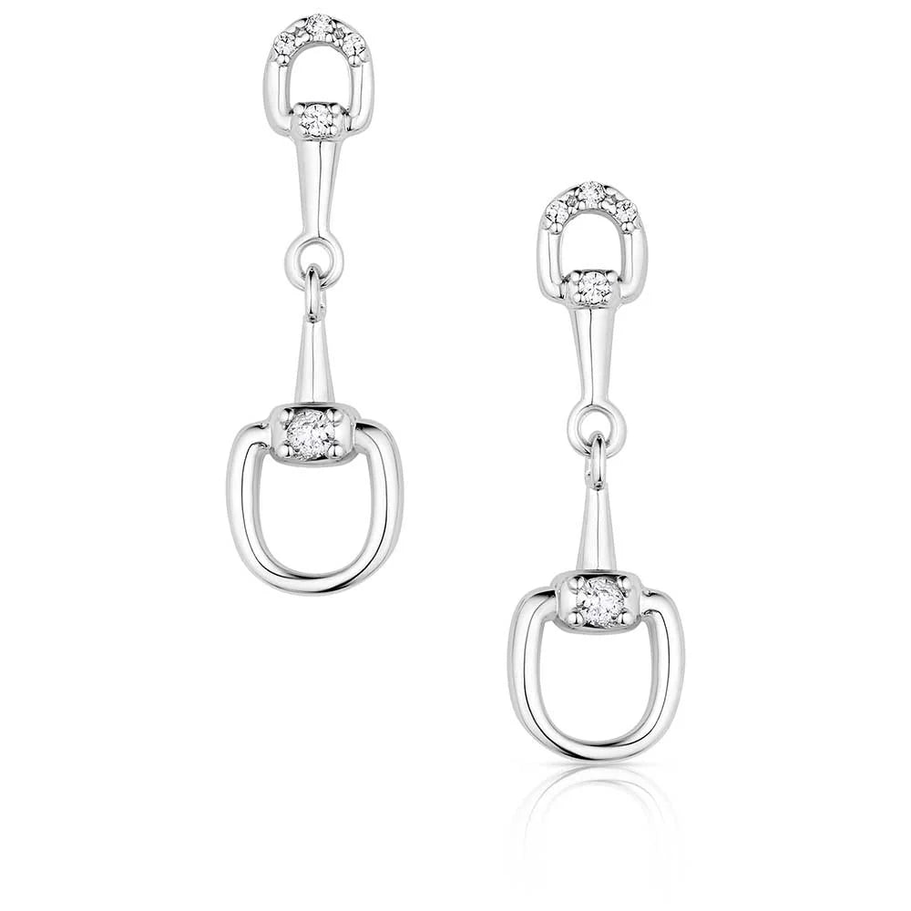 Montana Silversmiths Enjoy The Ride Earrings QER6084