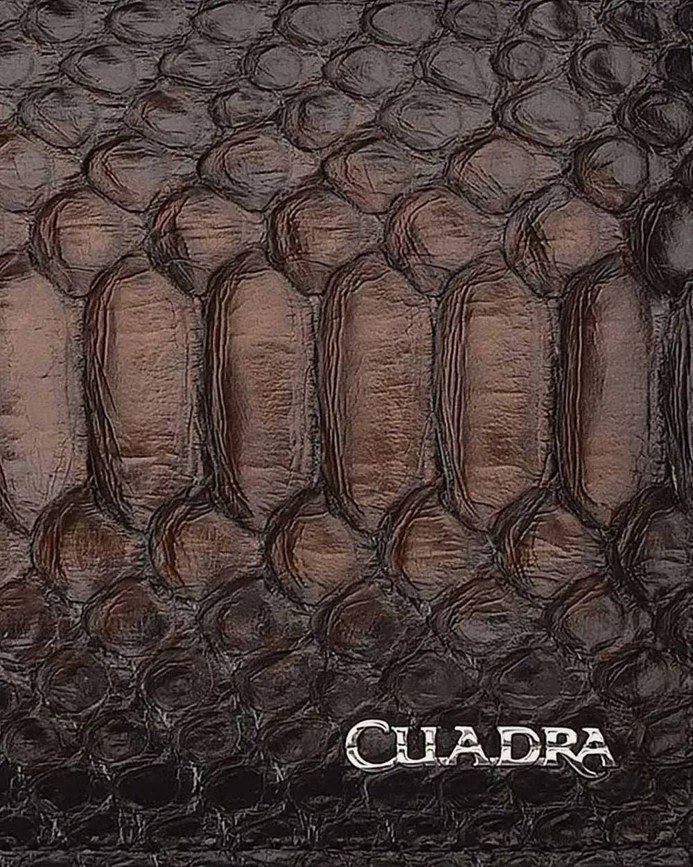 Cuadra Python Bifold Wallet DU369