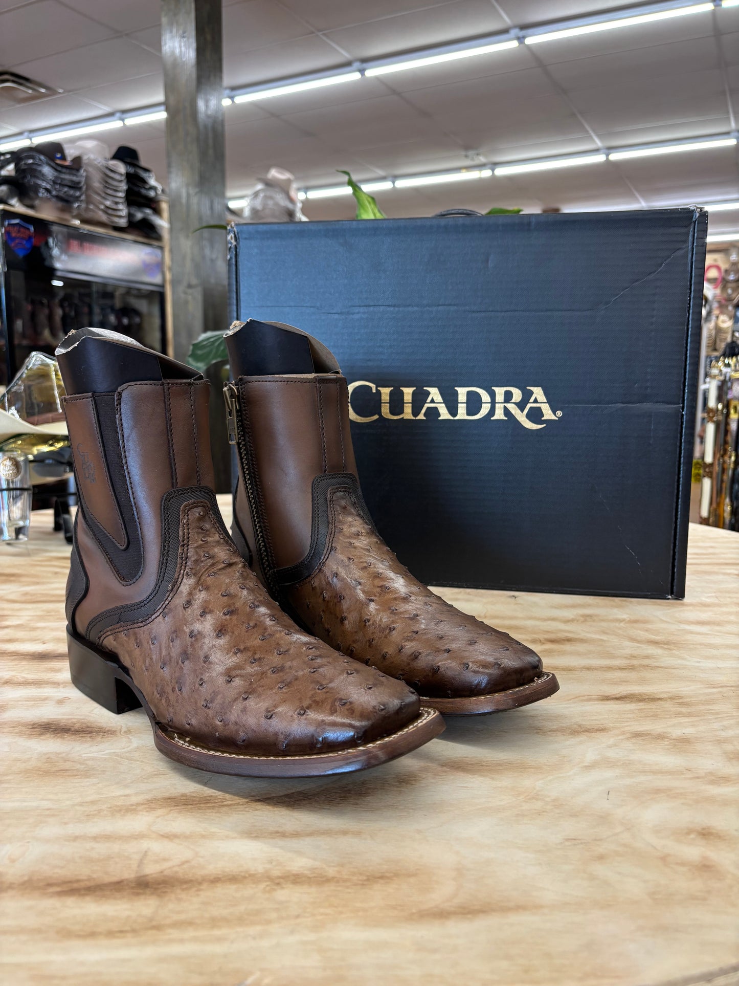 Cuadra Botin De Avestruz Lugano Cafe