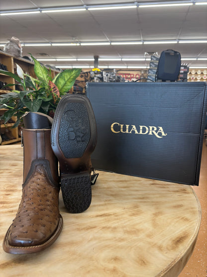 Cuadra Botin De Avestruz Lugano Cafe