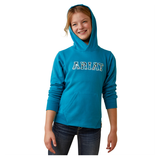 Ariat Youth 3D Logo Hoodie - Mosaic Blue